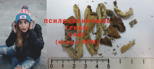 МДПВ Абаза